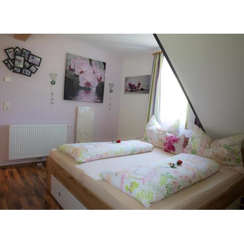 Appartement Edelweiss mit Infrarotkabine Großsölk