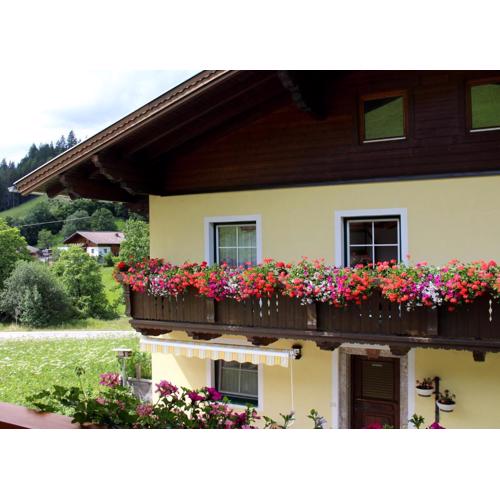 Appartement Gleiminger