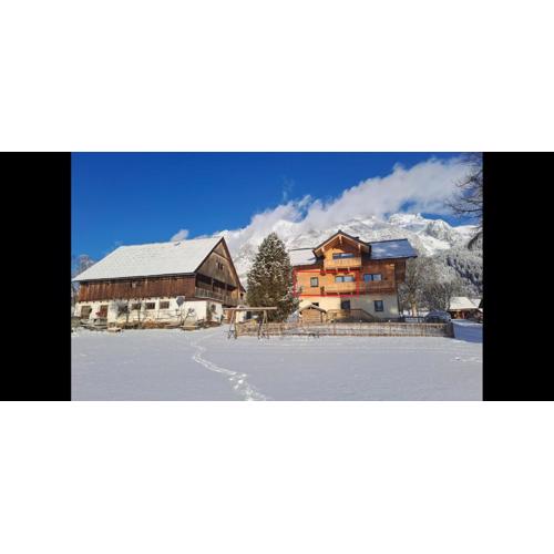 Appartement Goglhof