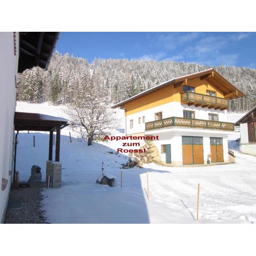 Appartement zum Rössl