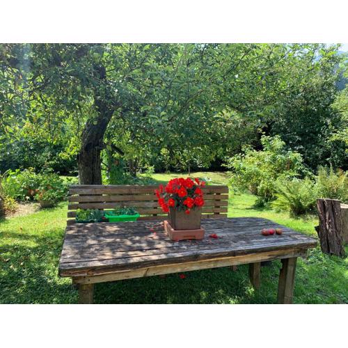 Bio Appartement Pichler