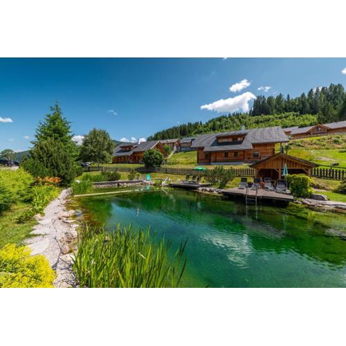 Chalet Dachsteinblick