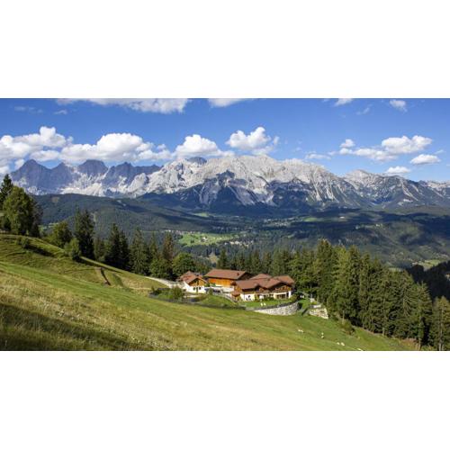 Chalet Stegerhof Premium App Dachstein