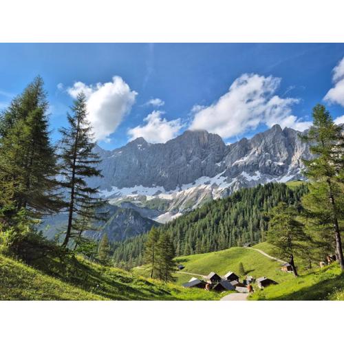 Family Appartment - Dachstein View