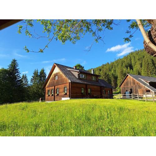 Ferienhaus Hinterhabneralm