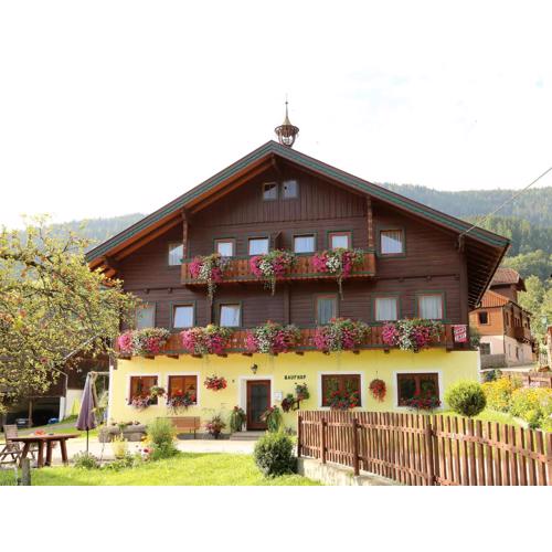 Haufhof-Pension am Bauernhof, Haus im Ennstal bei Schladming
